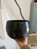 🌿 Japanese Temple Rin Bowl — D4 (293.7 Hz) “Ōryō Jūmoku” Heavy Model