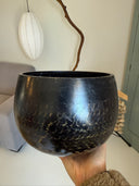 🌿 Japanese Temple Rin Bowl — D4 (293.7 Hz) “Ōryō Jūmoku” Heavy Model