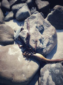 The Science and Subtlety of Sound Healing: How Vibrations Help the Body Remember Balance